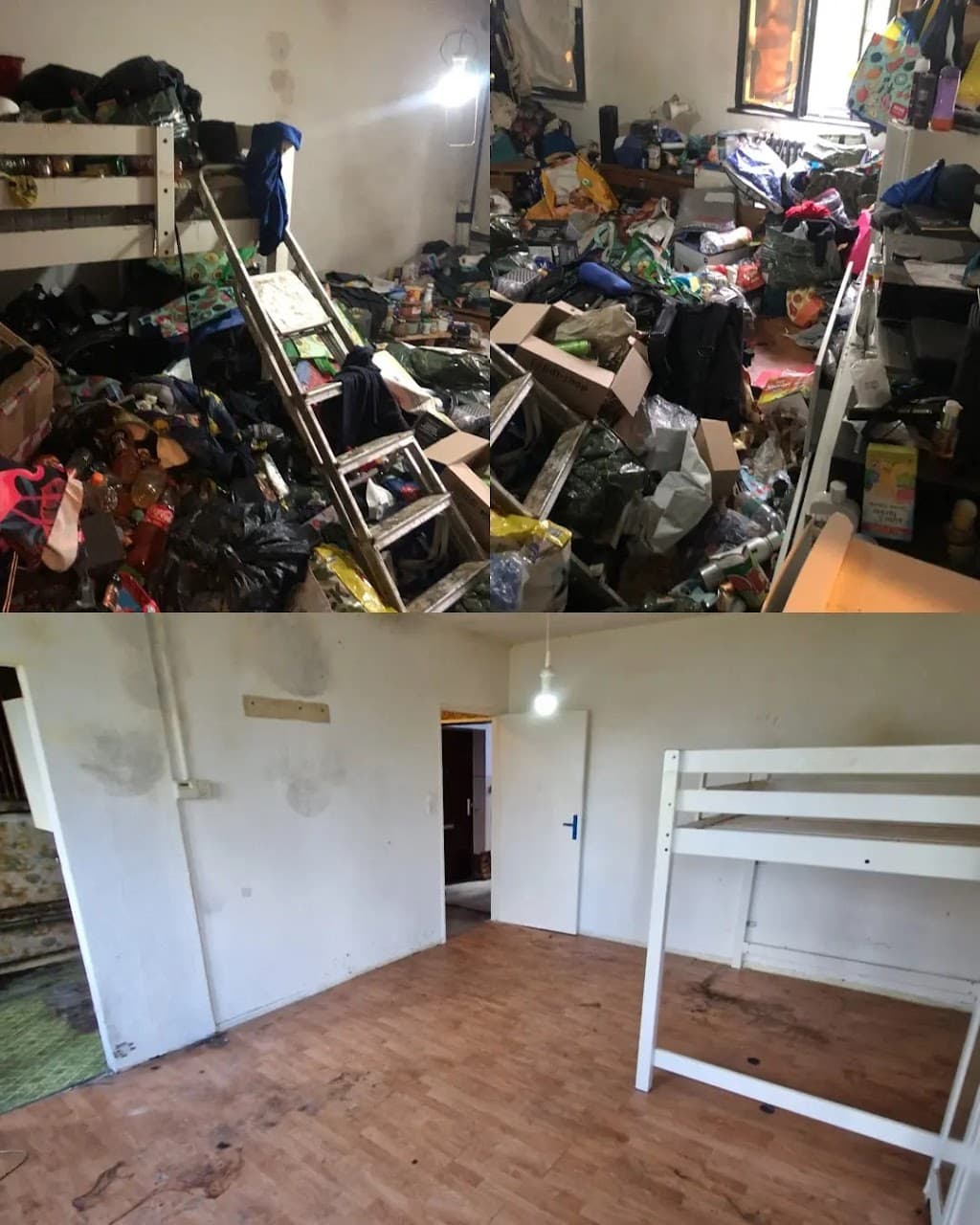 Wohnungsauflösung Steglitz-Zehlendorf