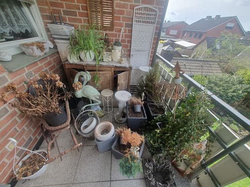 Die Bienen Haushaltsauflösung & Entrümpelung Düsseldorf — Kundenfoto